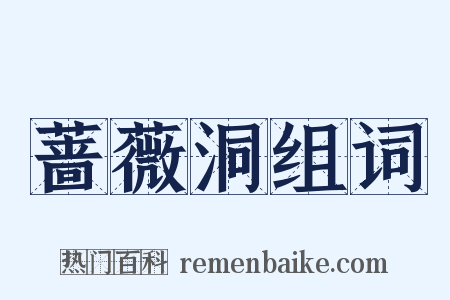 蔷薇洞组词是什么意思的图片